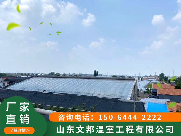 微信图片_2020081415041311