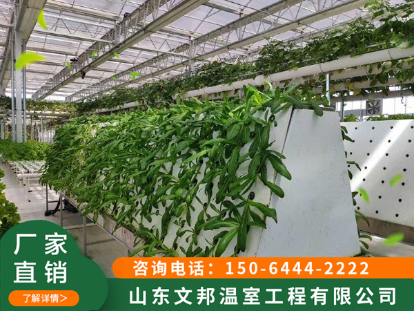 微信图片_2020081415025029