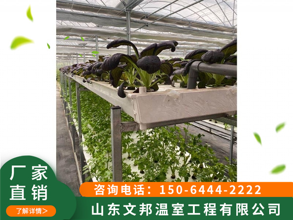 微信图片_2020081415041340