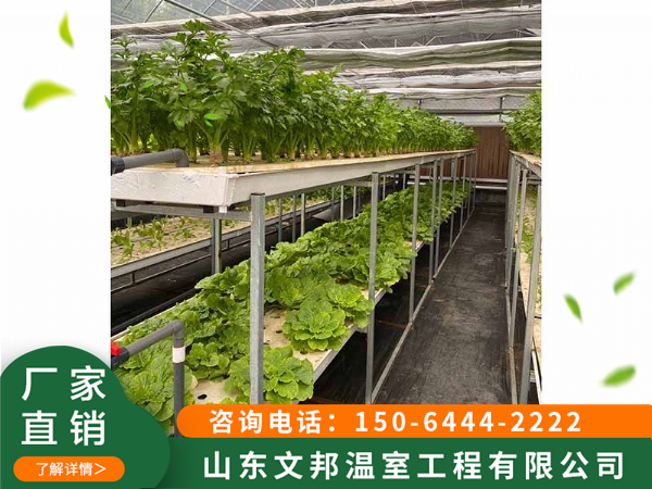 无土栽培