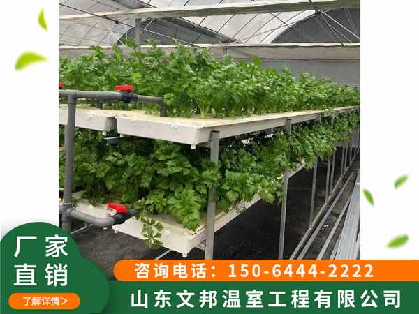 无土栽培