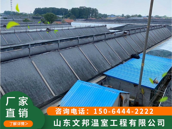 日光温室