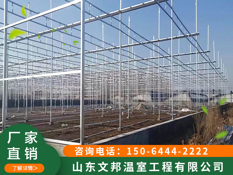 阳光板温室