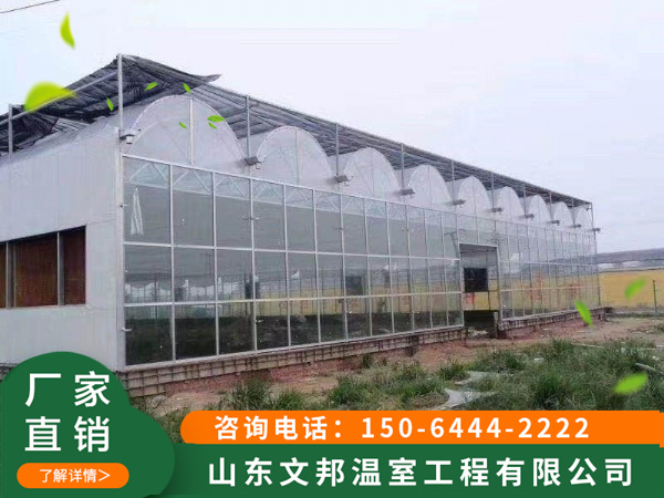 江苏种植园薄膜连栋温室
