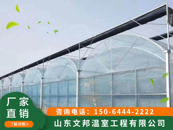 西安8亩薄膜连栋温室