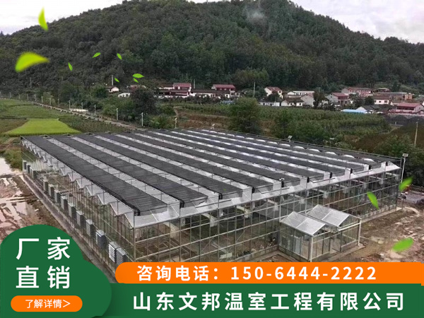 贵州3000平阳光板温室
